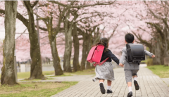 <b>尝试小学、交大附中浐灞左岸学校、西安市浐灞</b>